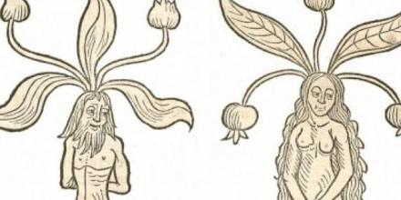 Freilich Project Research Showcase