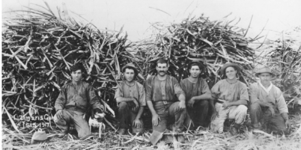 Pacific Mobilities and Mediterranean Diasporas on First Nations Lands: towards a transcultural history of Queensland’s sugar districts