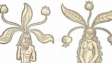 Freilich Project Research Showcase