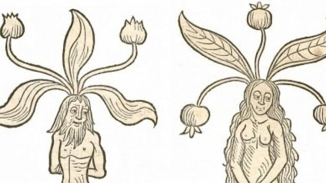 Freilich Project Research Showcase