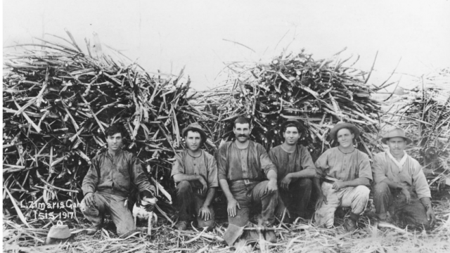 Pacific Mobilities and Mediterranean Diasporas on First Nations Lands: towards a transcultural history of Queensland’s sugar districts