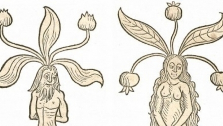 A drawing of a man and a woman each naked with a plant growing out of their head