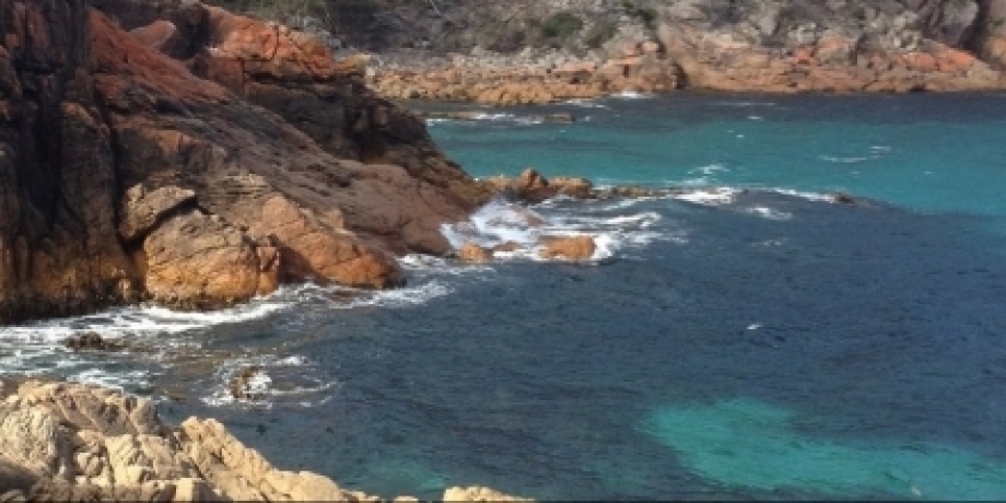 Eco-fascism: Conceptualising far-right extremist response to climate change An image of a rocky shoreline with blue seawater.