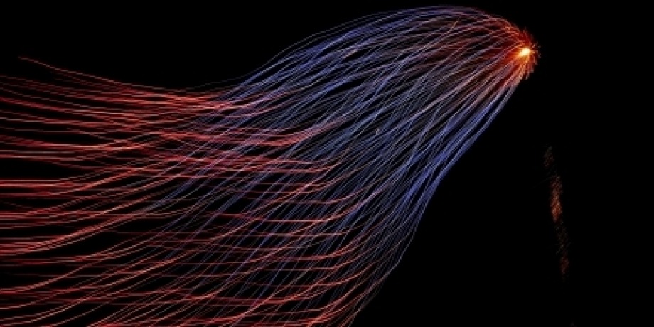 Networked Organisation: The Far Right in Australia